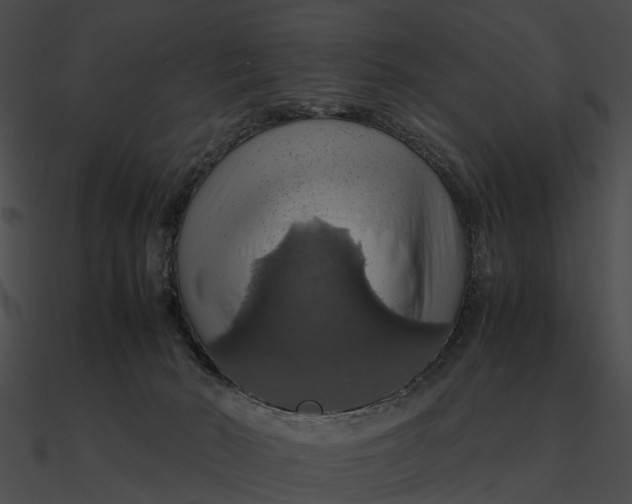 X0000090490030200708031156