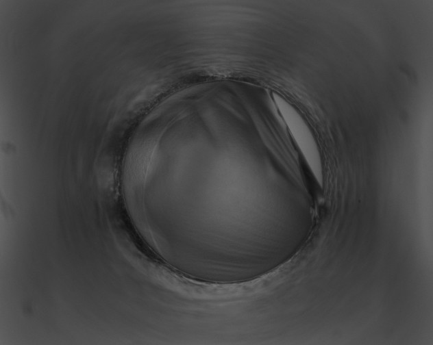 X0000090490031200708031156