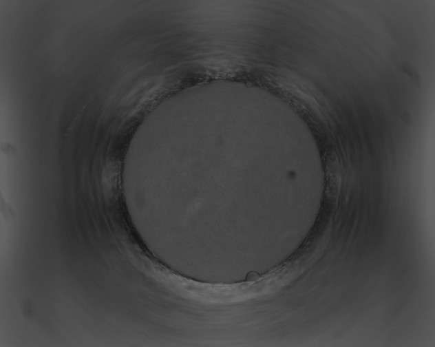 X0000090490034200708031156