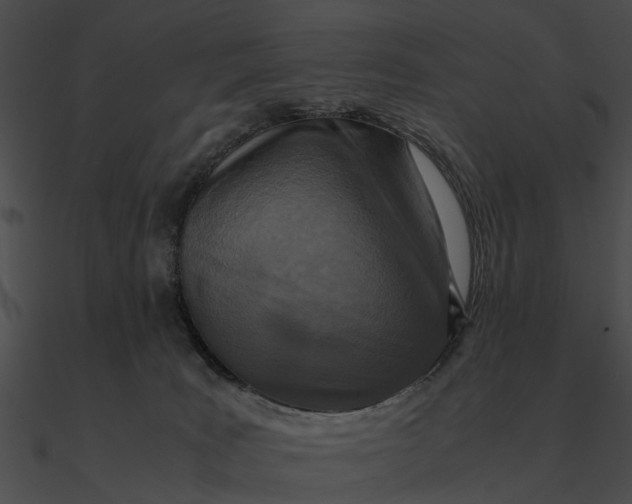 X0000090490035200708031156