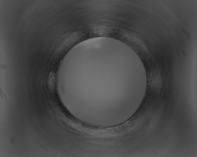 X0000090490036200708031156