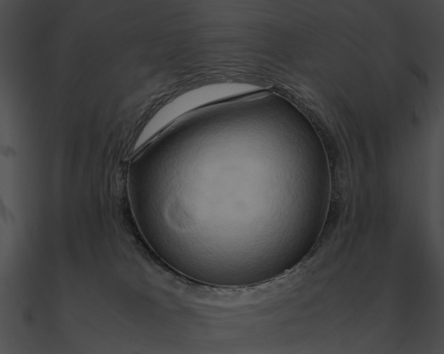 X0000090490037200708031156