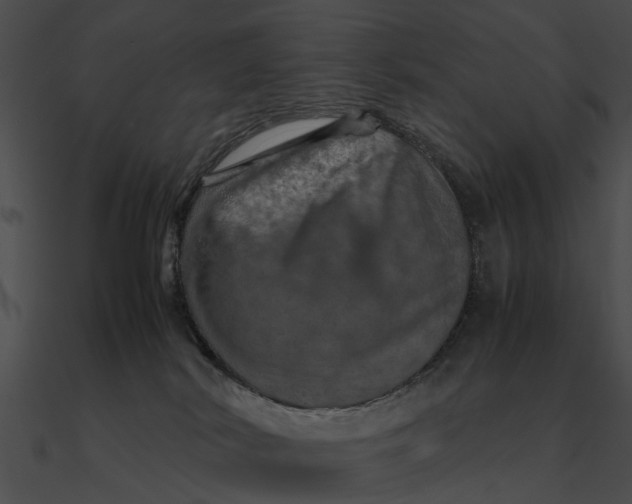 X0000090490038200708031156