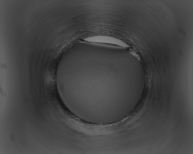 X0000090490040200708031156