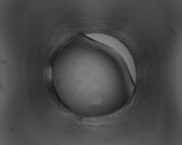 X0000090490041200708031156