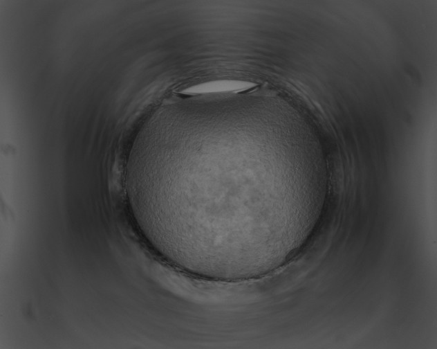 X0000090490044200708031156