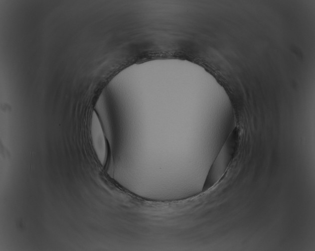 X0000090490045200708031156