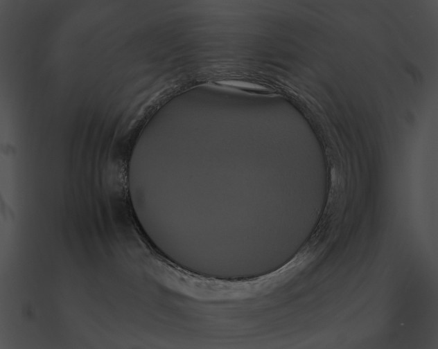 X0000090490048200708031156