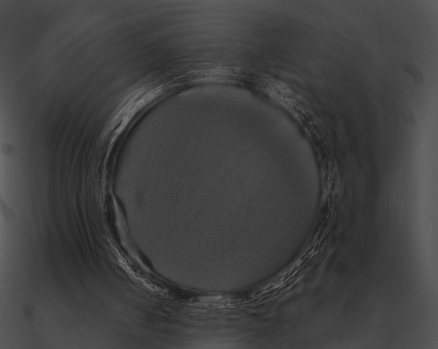 X0000090490050200708031155