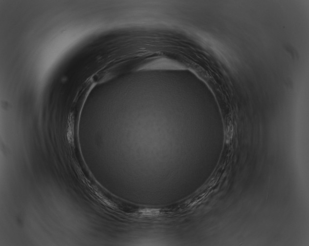 X0000090490052200708031155