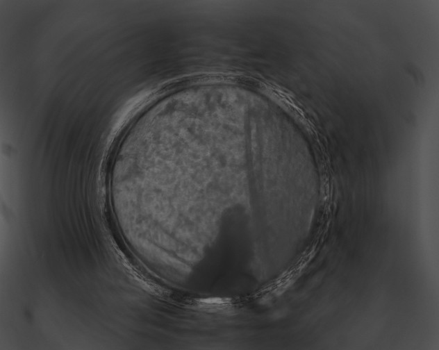 X0000090490053200708031155