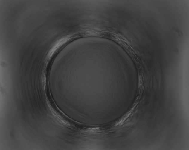 X0000090490054200708031155