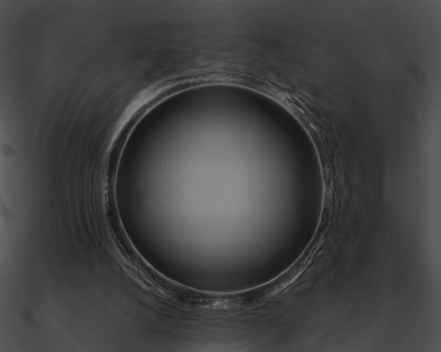 X0000090490056200708031155