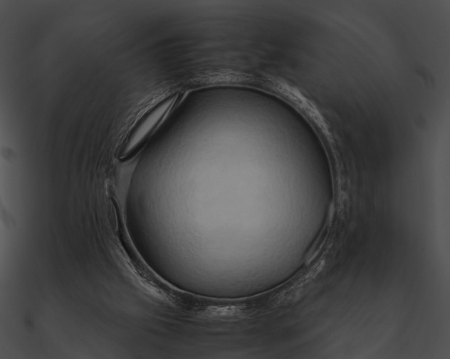 X0000090490057200708031155