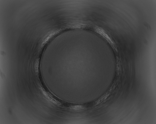 X0000090490058200708031155