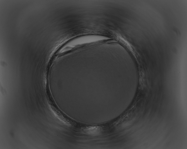 X0000090490059200708031155