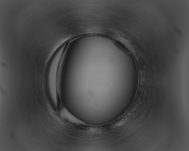 X0000090490060200708031155