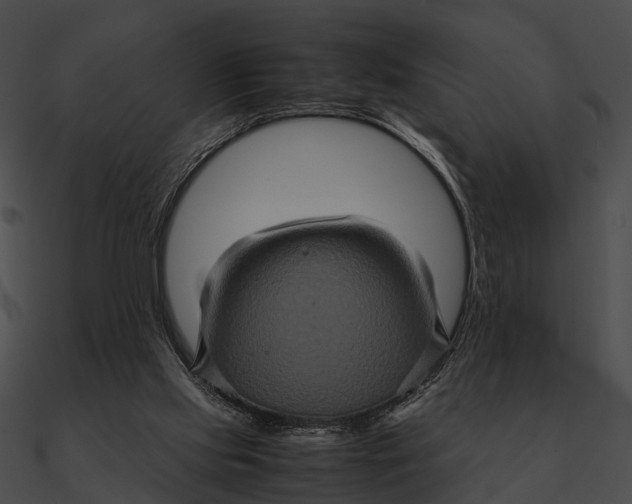 X0000090490061200708031155