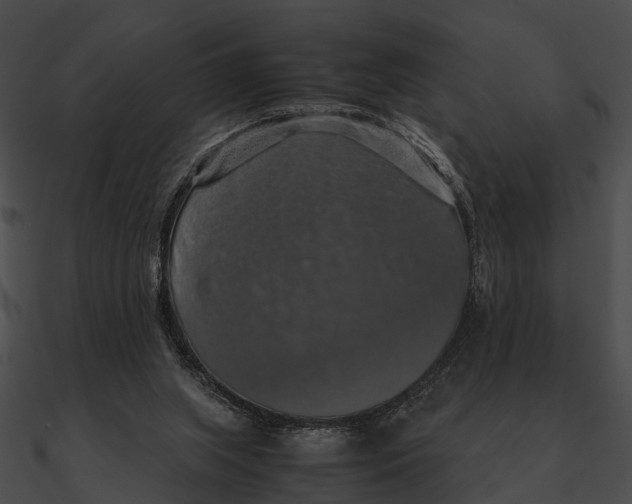 X0000090490063200708031155