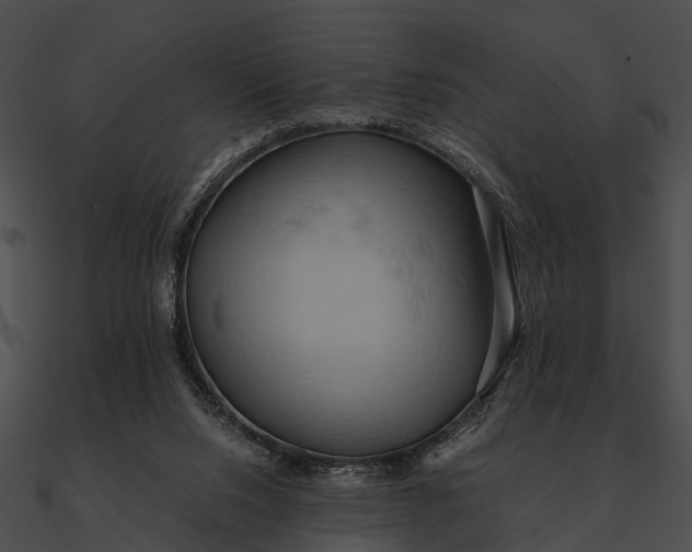 X0000090490064200708031155