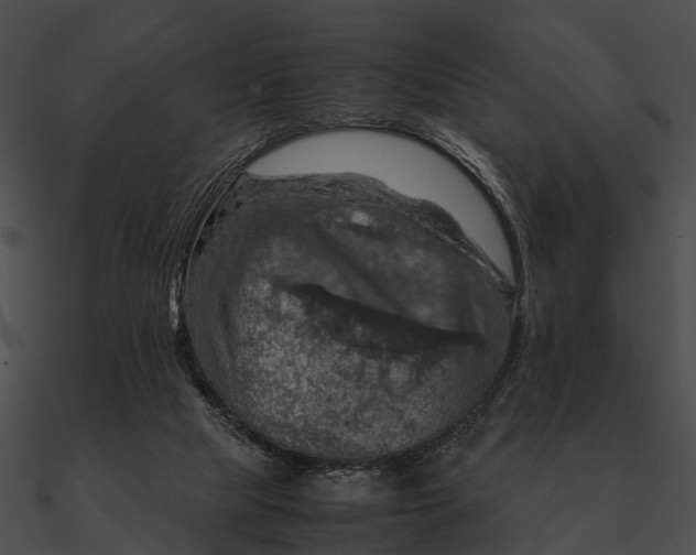 X0000090490065200708031155