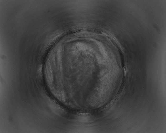 X0000090490066200708031155