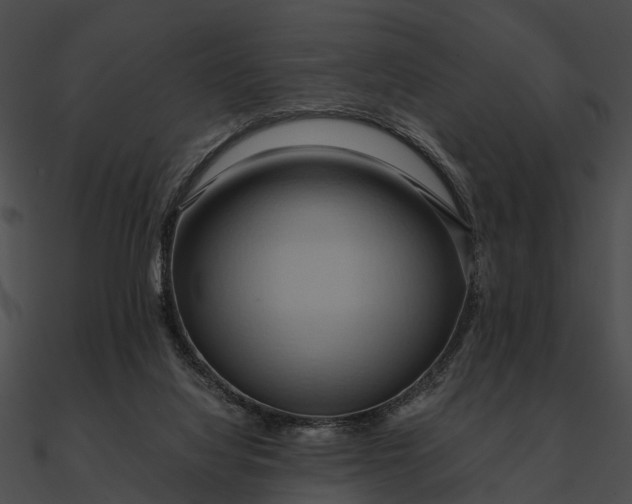 X0000090490068200708031155