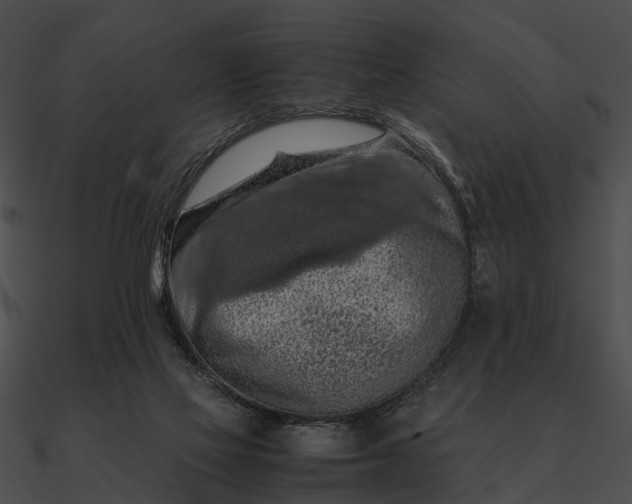 X0000090490069200708031155