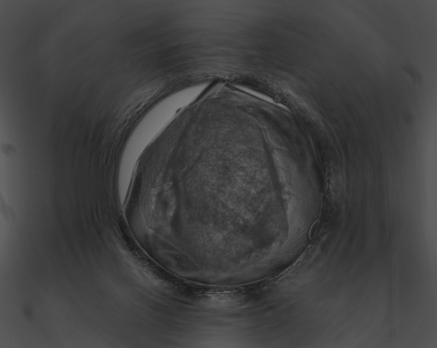 X0000090490070200708031155