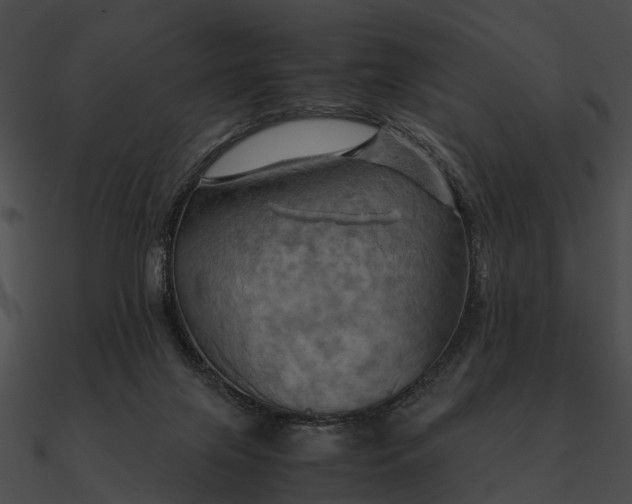 X0000090490071200708031155