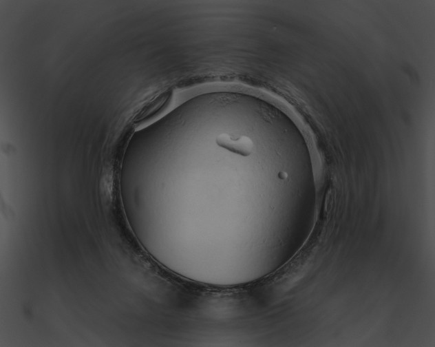 X0000090490072200708031155