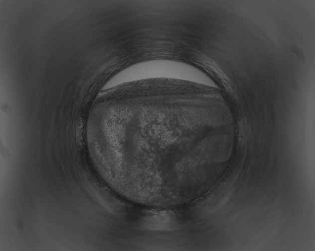 X0000090490073200708031155