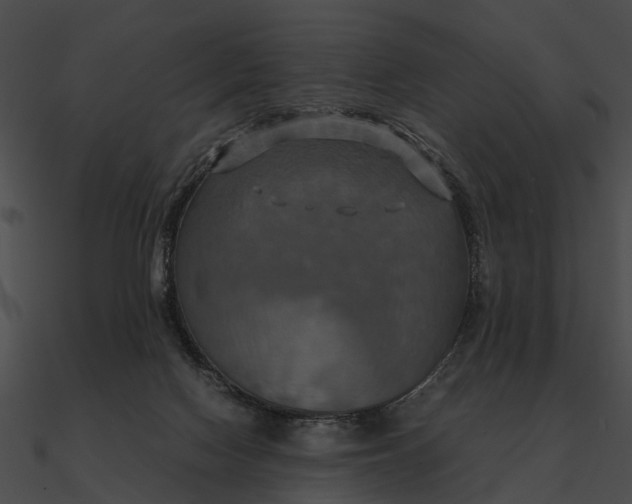 X0000090490074200708031155