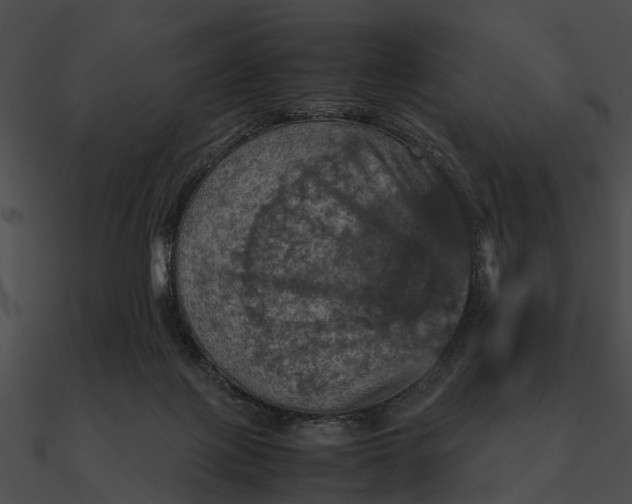 X0000090490075200708031155