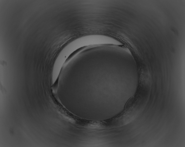 X0000090490076200708031155