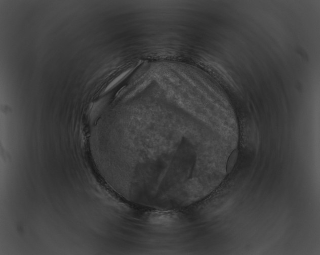 X0000090490077200708031156