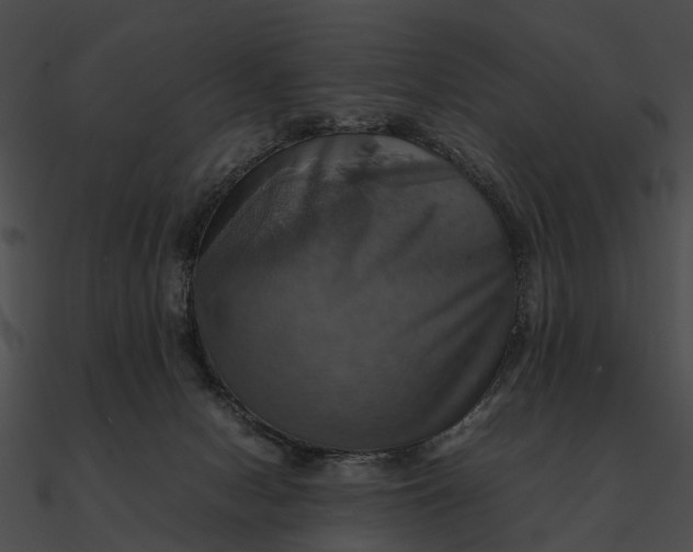 X0000090490078200708031156