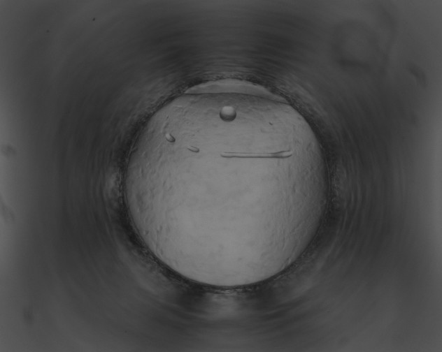 X0000090490079200708031156