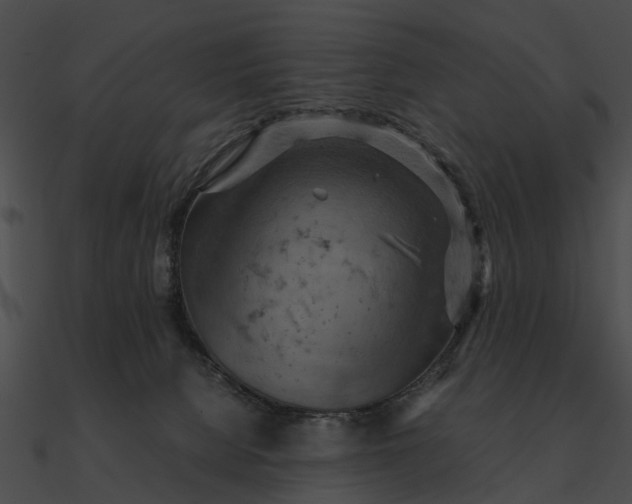 X0000090490080200708031156