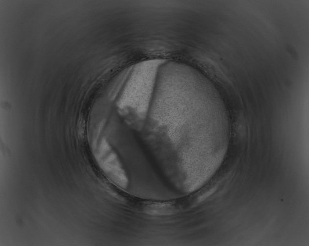 X0000090490081200708031156