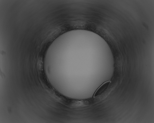 X0000090490083200708031156