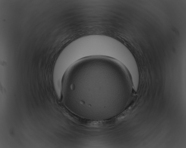 X0000090490084200708031156