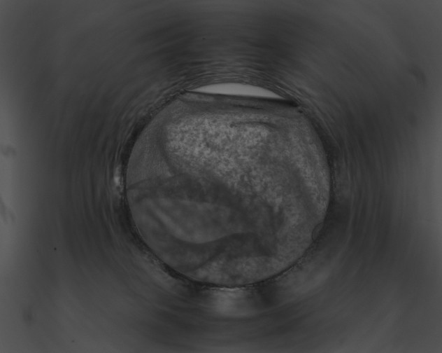 X0000090490085200708031156