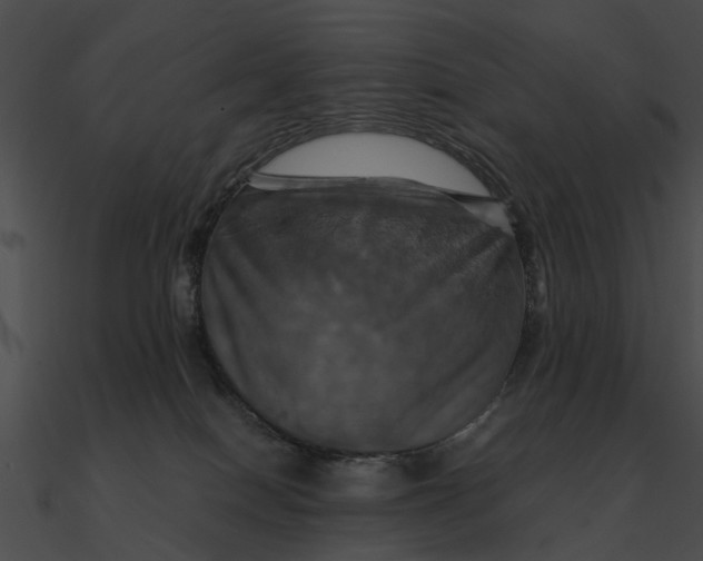 X0000090490086200708031156