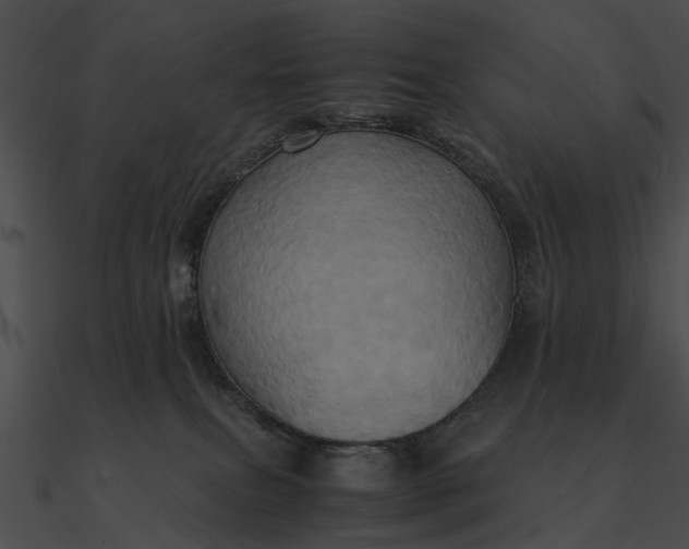 X0000090490087200708031156