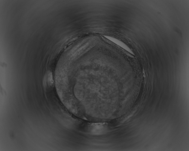 X0000090490089200708031156