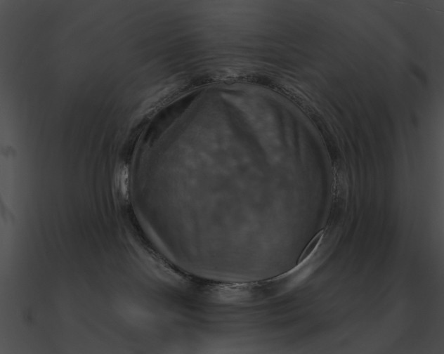 X0000090490094200708031156