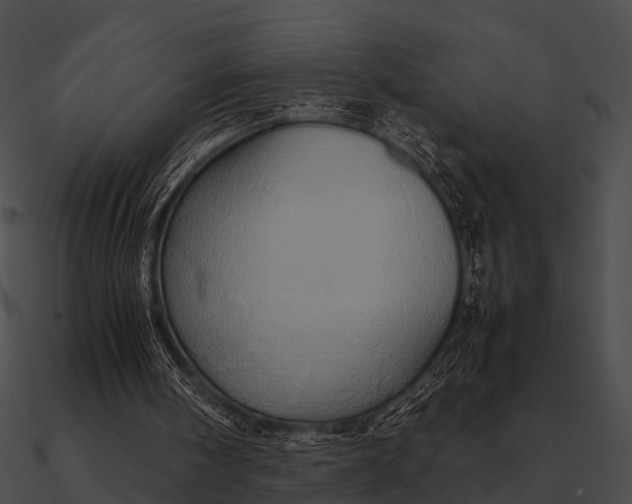 X0000090490098200708031155