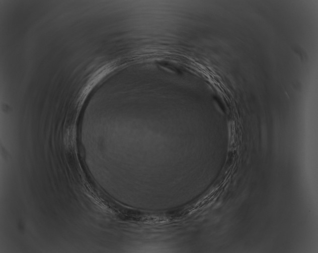 X0000090490099200708031155