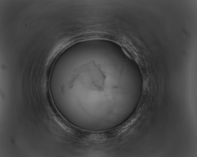 X0000090490101200708031155